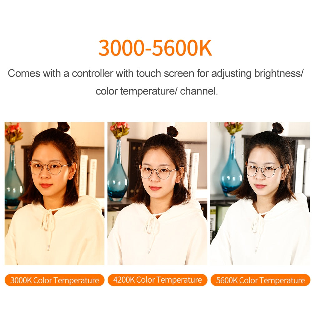 Falcon Eyes 100W LED Photo Video Light Portable LED Photo Light 504pcs Flexible LED Light RX-18TD with Diffuser + Light Stand